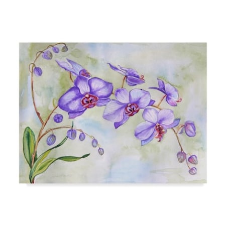 Jean Plout 'Orchids Purple' Canvas Art,24x32